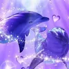 user8421049001340