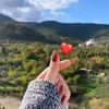 itx_ash10