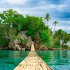 quoc_quoc8381