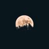 rzayeffa_95