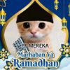 fadhilzuhdi55