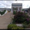 mohammed.saad6554