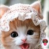 djidji.attia