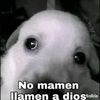 nomamenllamenadiosd