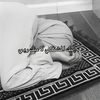 quran_15h8