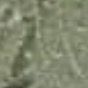 manal_alahmer_ala