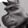 hihihain