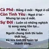 vo.hoang.anh38