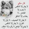 salhmahdi13