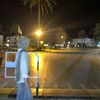 liineena