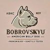 bobrovskyi_psu
