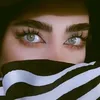 user860576479