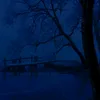coldvisions1
