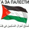 gusya229
