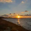 dar_sha8