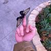 ithinkiveseenyoub