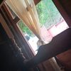 adrysant43