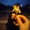 aarondna
