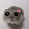 maya._.walther