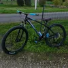 ffw_mxtheo24