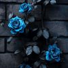 allabout_stephanie