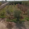 abdulbachari8