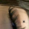 mely_567.1
