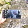 firmannajwa_