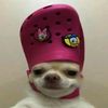 cowmeelll22