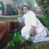 mahmood.khan547