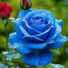 fatima.garcia.cru