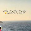 زياد ابو بكر