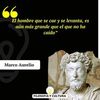 josealfredogarcia552