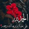 anfal.anfal411