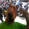 user41961329273778