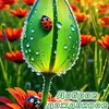 user9161408018248