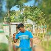 user7986718115461
