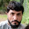 warzizada