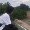 jaed_zkkk