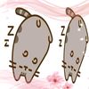 katalin_rbx