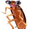 your_pegelagarto_