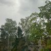 simonas.idlauskas