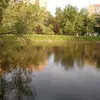 nozajon_3
