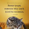 iamawrighter