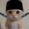 miau.mimi4