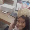 _samivi