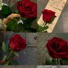 user3947406053081