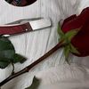 BL☆CK ROSE