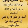 sarhan.mohamme