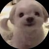 kimberlynothere